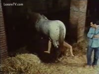 Zoo Porn - Zoo sex loving white women experiments with a horse shlong